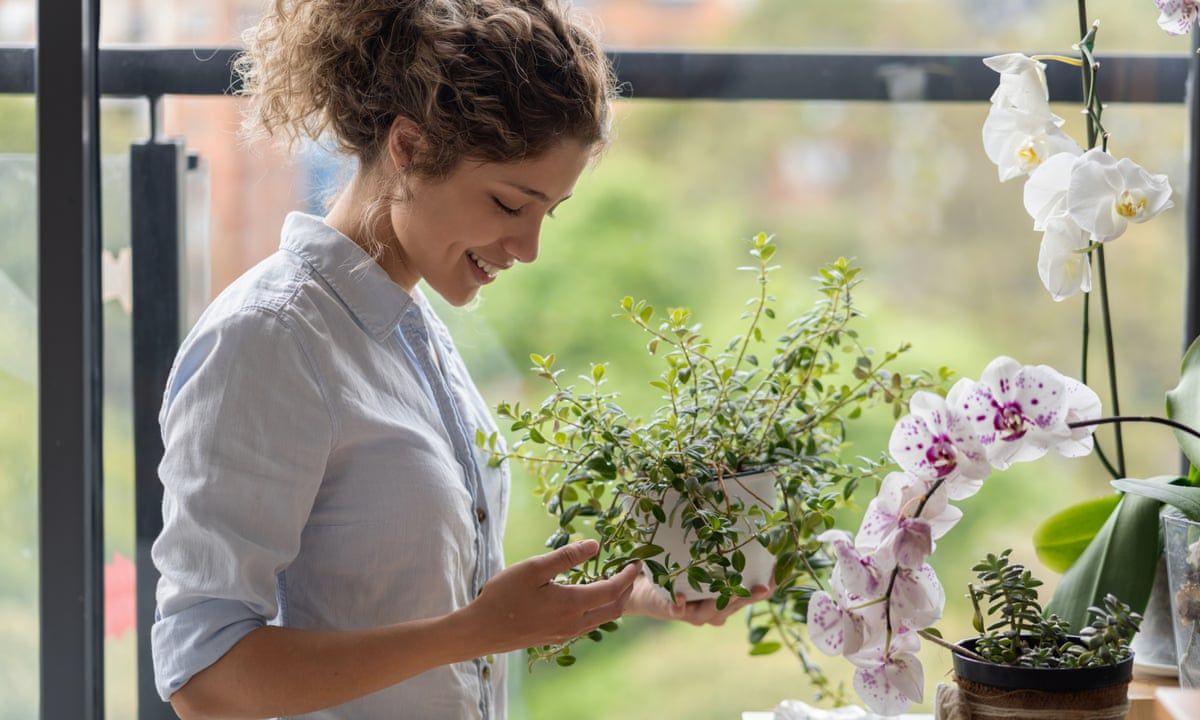 The Power of Flowers in Human life