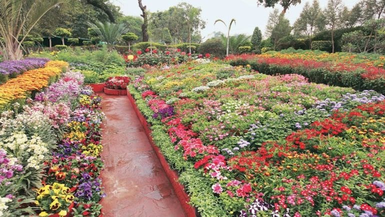 Flowers Industry in India