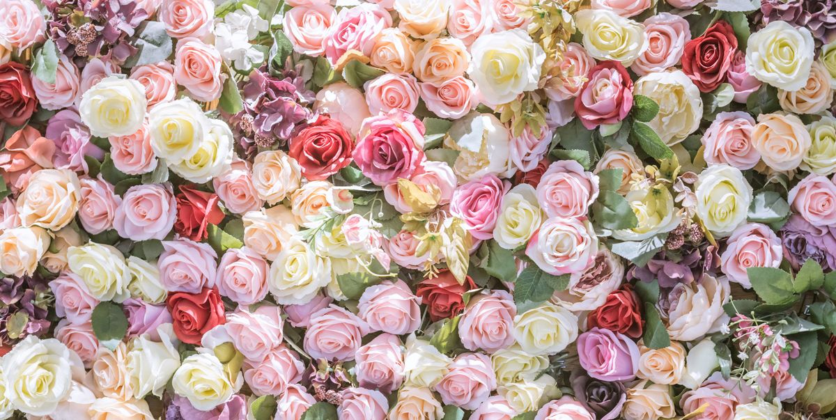 SYMBOLISM AND MEANING OF ROSES