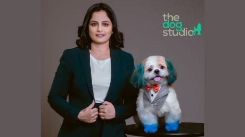 Give your Dog a SPA from Professionals: The Dog Studio