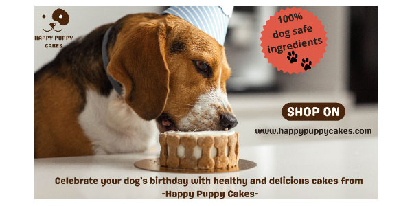 Startup delivers birthday cake for dogs to Indian metro cities - HappyPuppyCakes