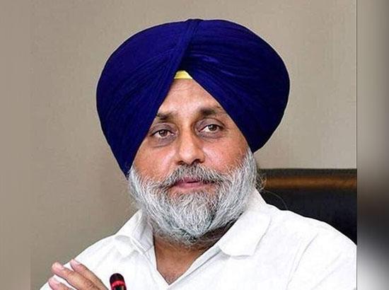 ਜਲਾਲਾਬਾਦ ਤੋਂ ਸੁਖਬੀਰ ਬਾਦਲ ਚੋਣ ਹਾਰੇ