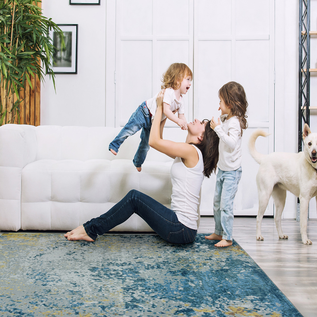 CarpetLive.com – One-stop online store for Modern Persian, Jute, Durries Ziegler, Contemporary carpets, and rugs