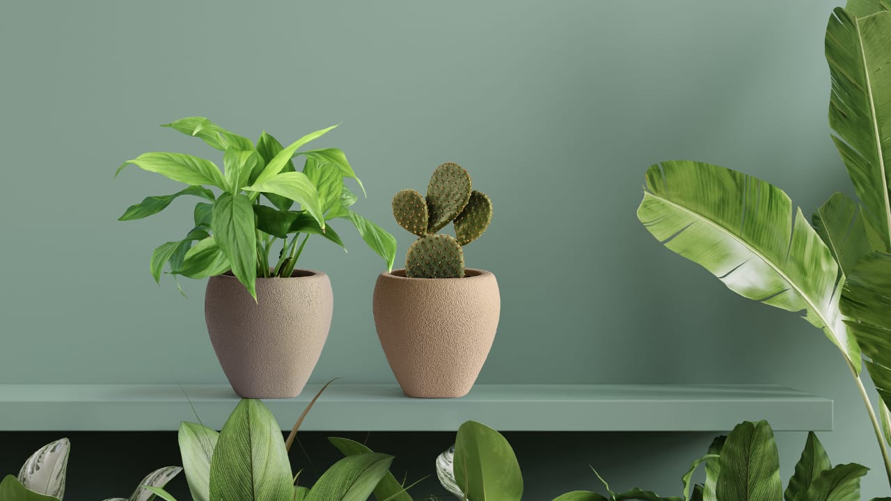 <strong>Take a break from the mundane and bring home Bonasila Planters that withstand the test of time</strong>