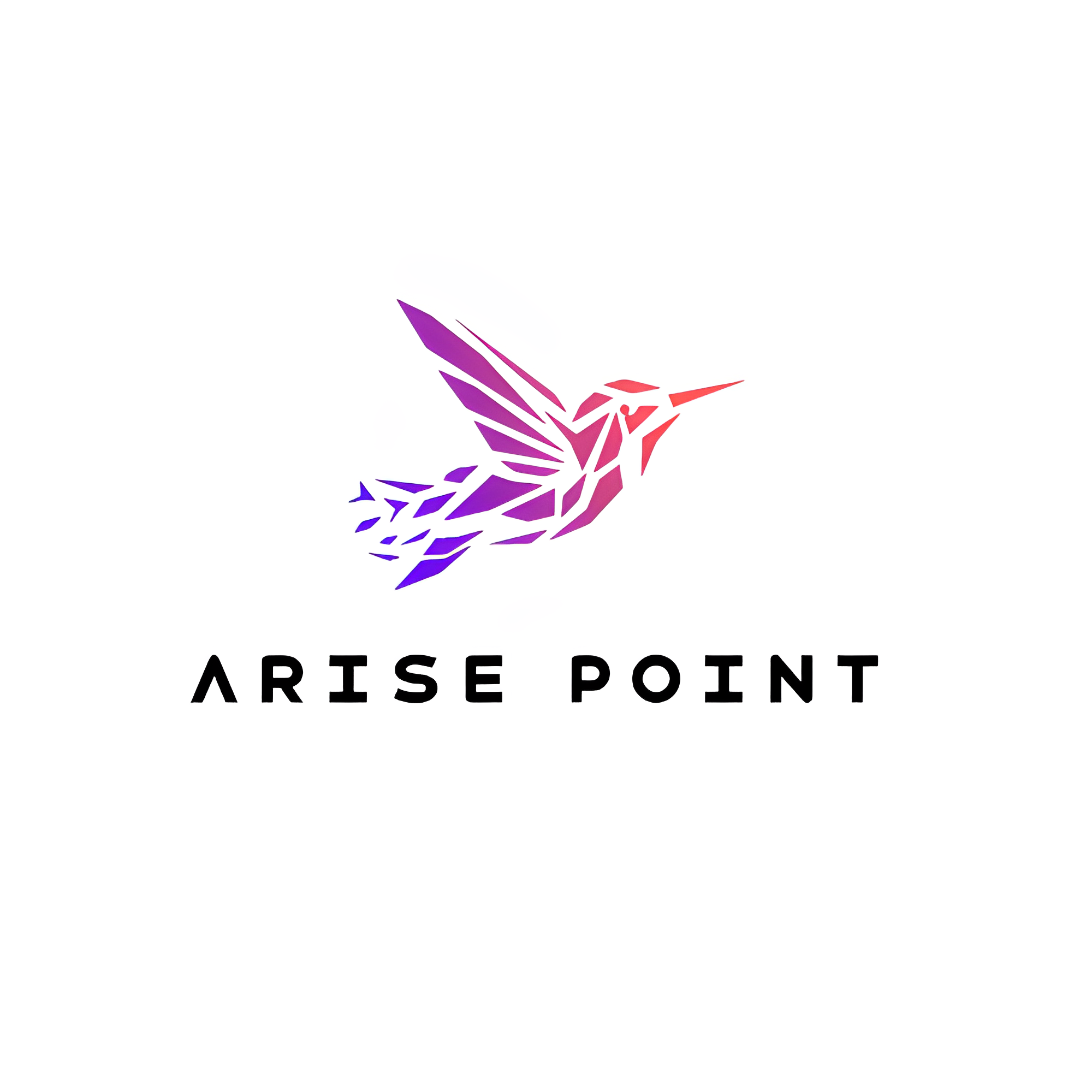 Arise Point: A Leading Digital Marketing Innovator with a Vision for Transformation