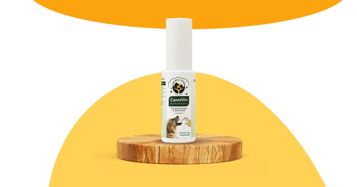 Enhancing Pet Wellness: The Fur Ball Story's Latest Oral Spray Collection