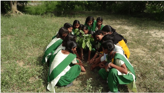 IVillage's Journey to Sustainability: A Closer Look
