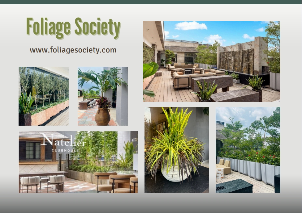 Foliage Society: Elevating Restaurant Ambiance with Exquisite Greenery