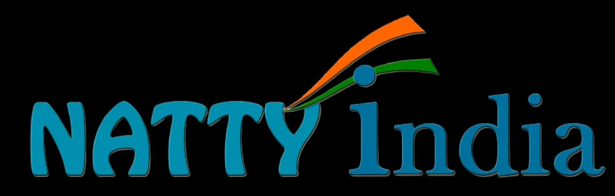 NattyIndia: Streamlining the digital payment process for every Indian citizen