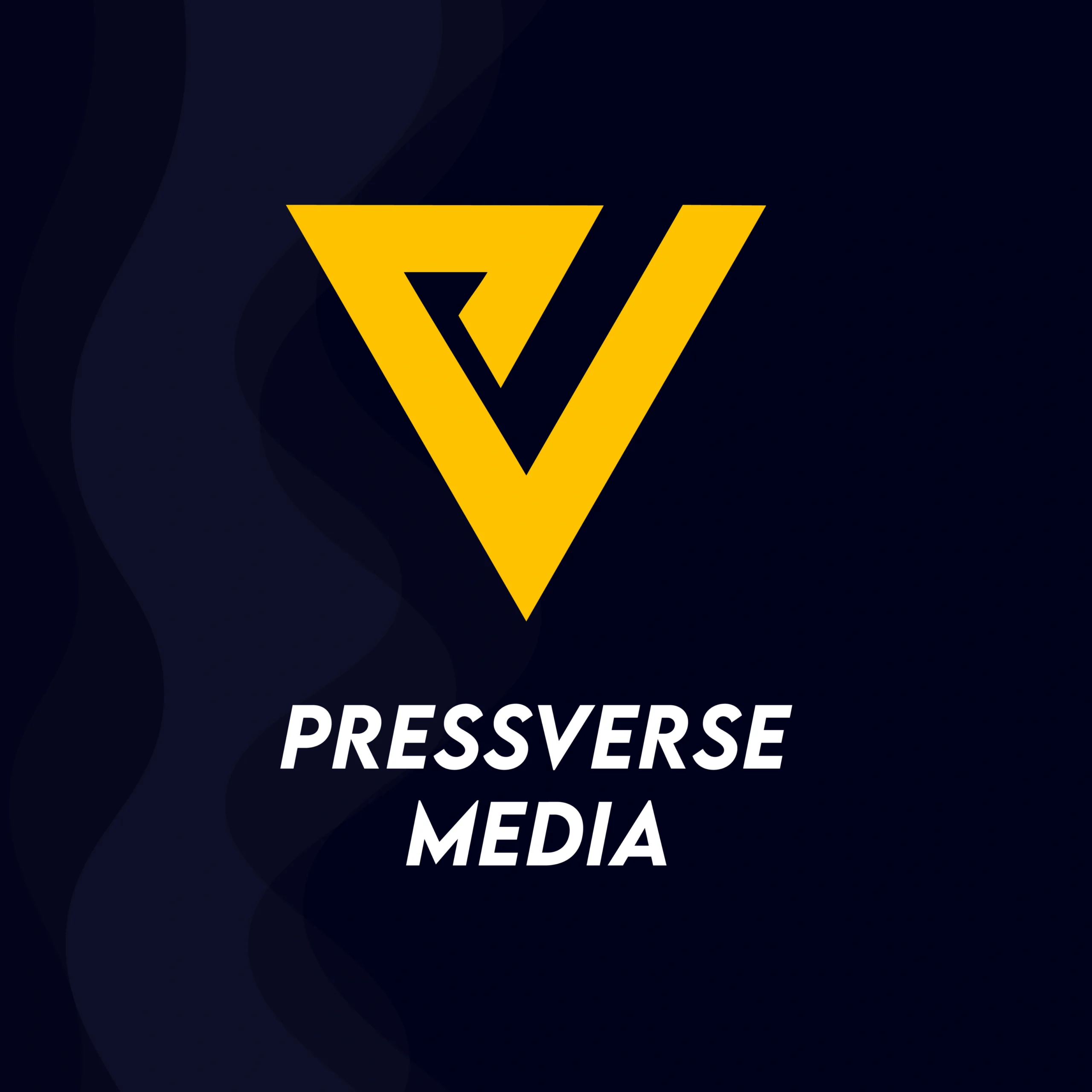 Pressverse Media: Shaping the Future of Digital PR and Marketing