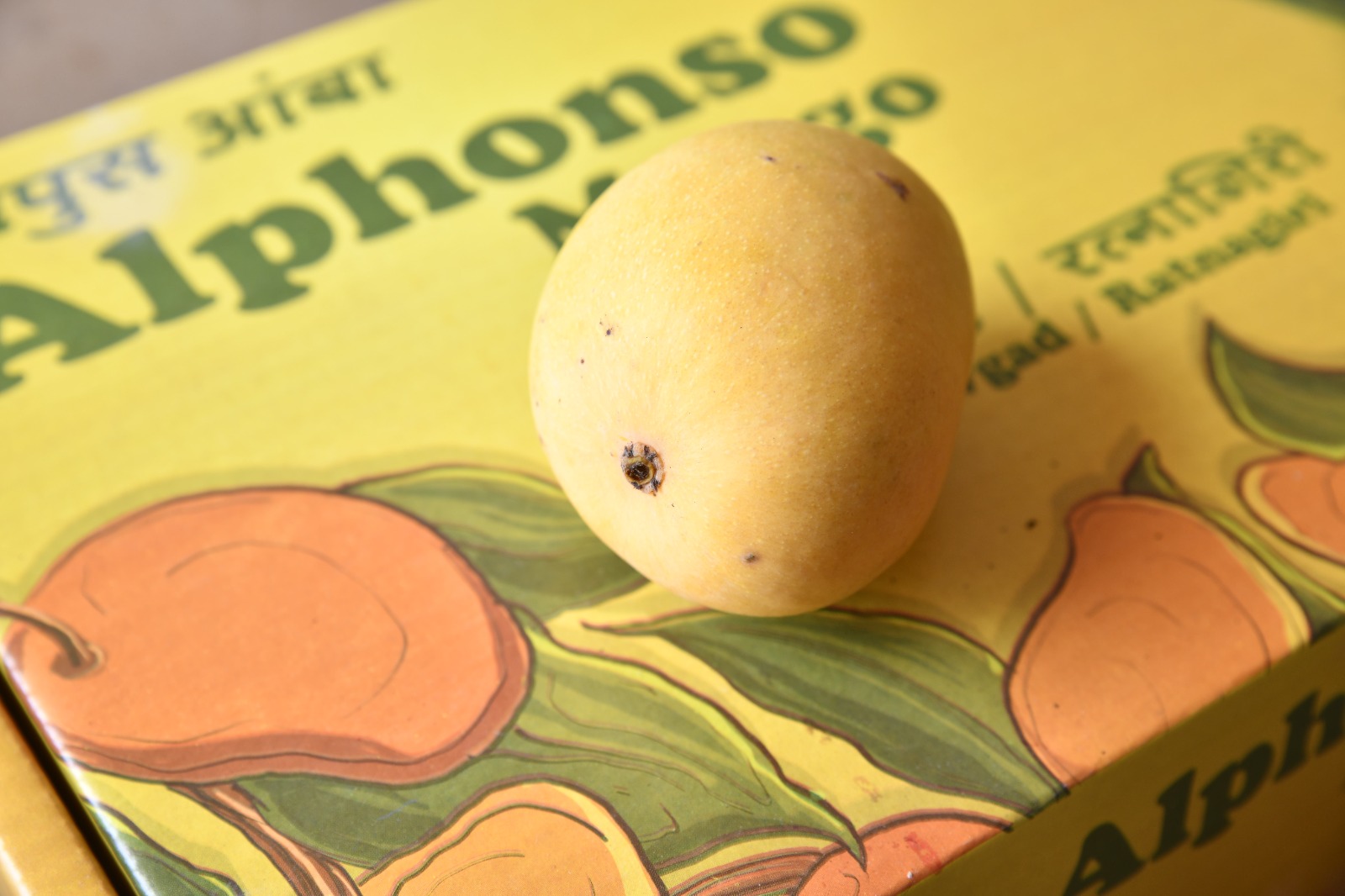How to Choose the Best Alphonso Mango Online for the Perfect Taste