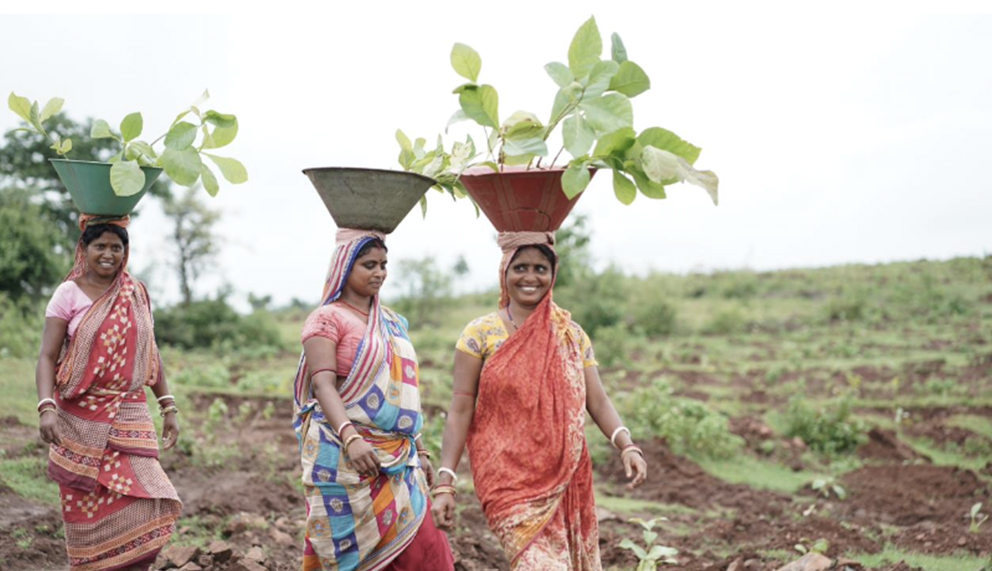 Tree Plantation Under CSR: AWF to Plant 20 Lakh Saplings Near Satpura National Park 