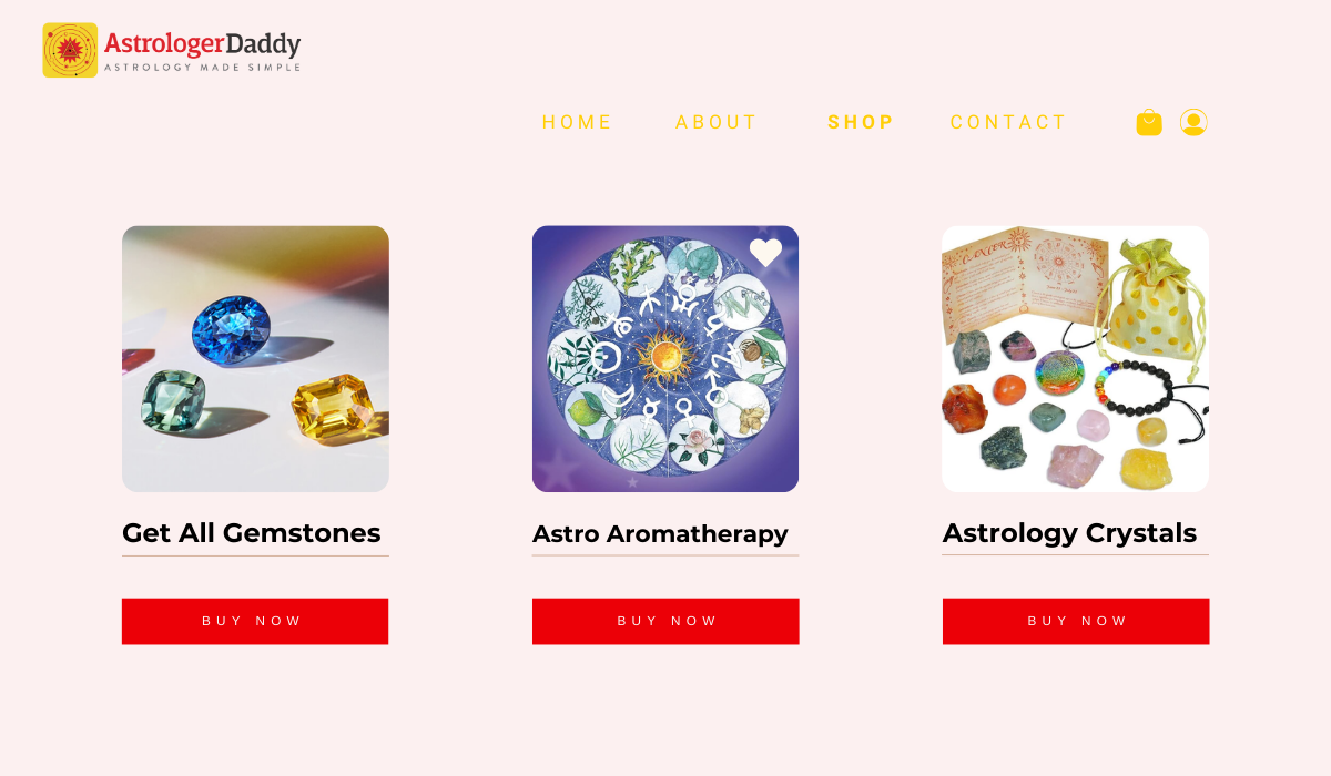 About Astrologer Daddy: BK Astro Service Private Limited