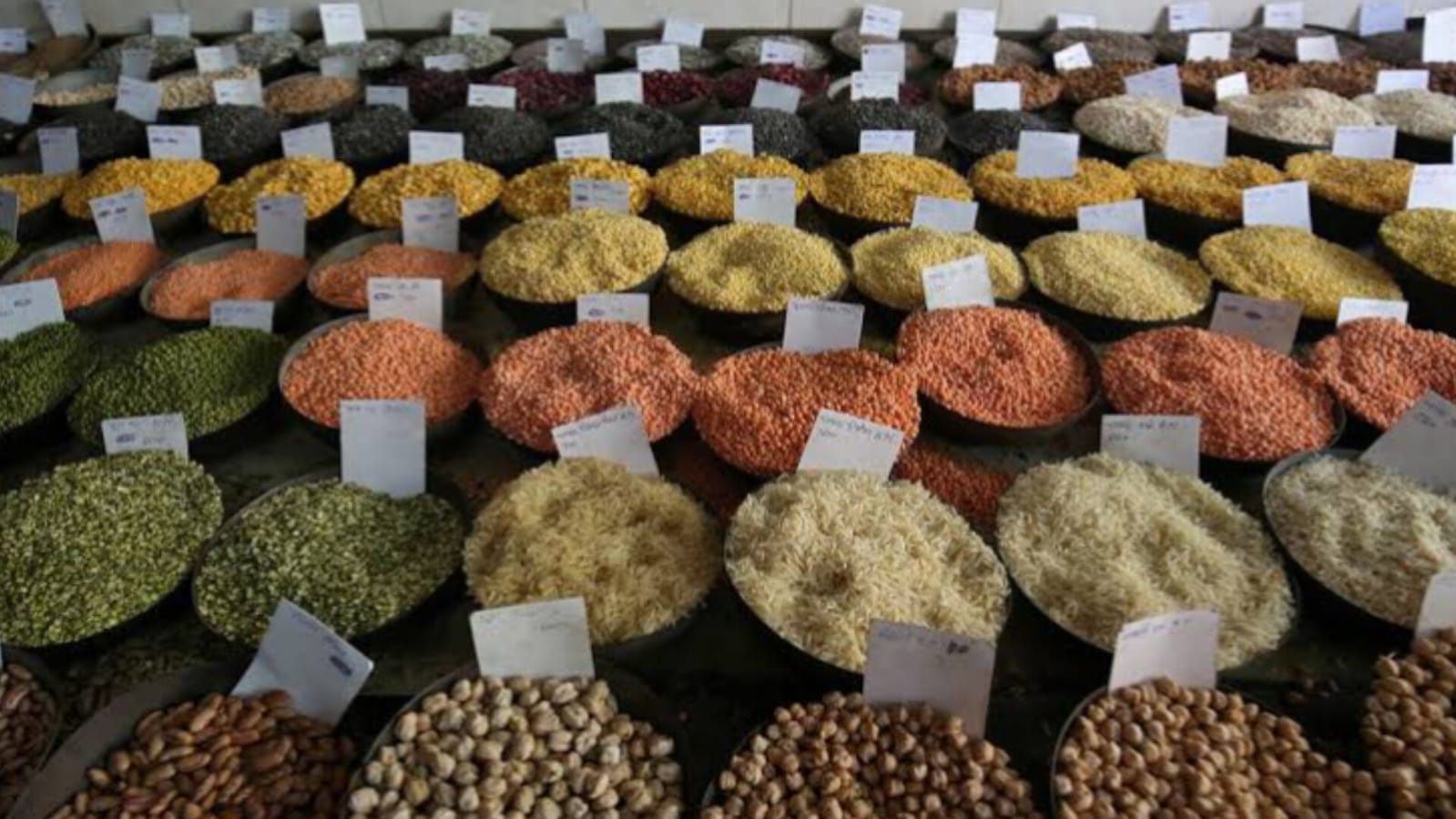 Suleman Danawana: A Legacy of Quality Pulses in Wholesale Trade