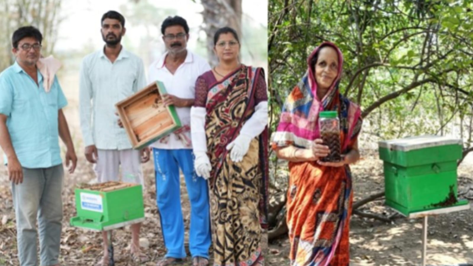 Vedanta Aluminium celebrates World Bee Day with farmers in rural Odisha