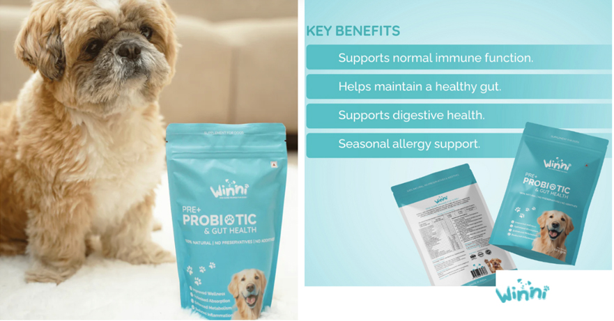India’s #1 Dog Probiotic Brand is Winning Hearts — Meet The Winni