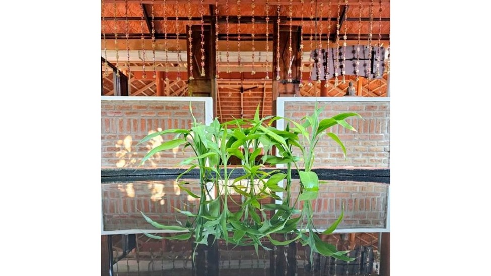 Return to the Source: A Soulful Retreat for Those Who Hold Space