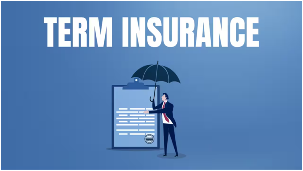 The Benefits of Combining an Endowment Plan with Term Insurance