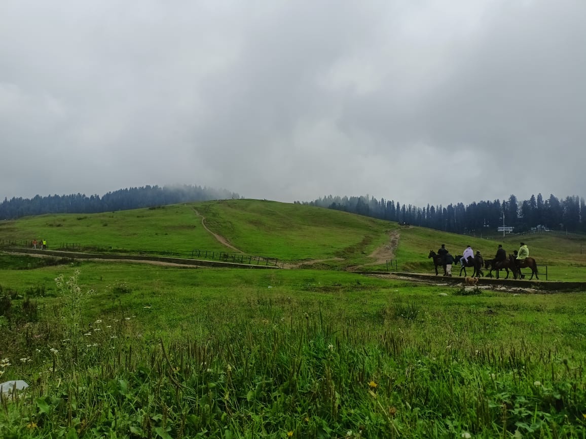 Kashmir Tour Mart: Pioneering Travel Experiences from Srinagar Since 2006