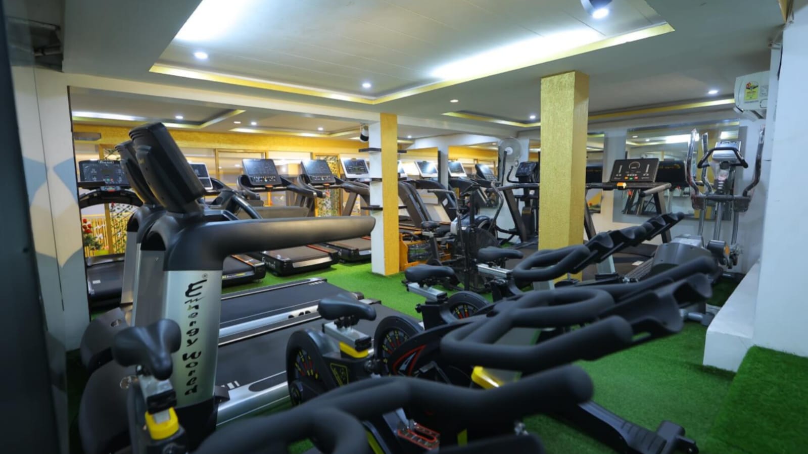 Energy World Rises as India's Top Gym Equipment Brand