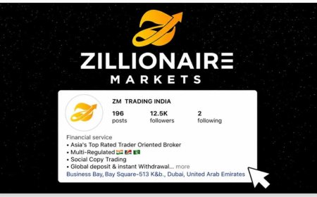 Top 5 Brokers of India – Why Zillionaire Markets is Dominating Modern Trading