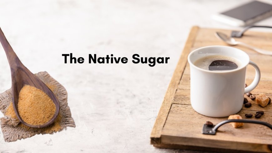 The Native Sugar: India’s 1st Clean-Labelled Natural Sugar Brand Transforming Sugar Consumption