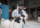 Organized Livestock Farming: How Razzak Khan and Razzak  Goat Ranch Are Setting New Industry Benchmarks