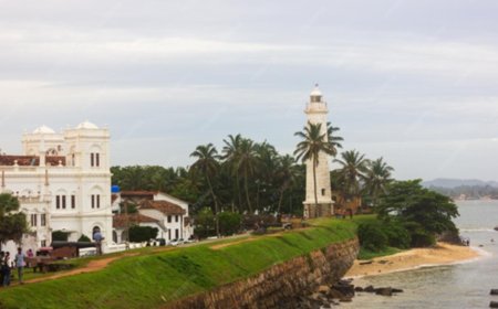 Explore the Two Tropical Escapes: Sri Lanka or Kerala. Where is your Next Vacation?