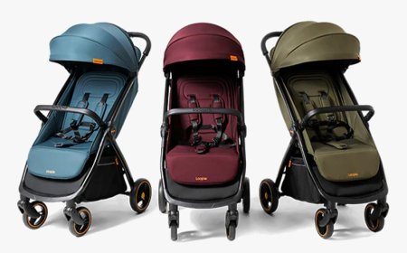 Loopie Hop, Chicco Cortina CX, Joie Litetrax 4, Popular Baby Strollers in India