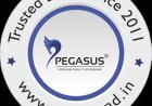Pegasus Edge Band Tape: The Story Behind Perfect Furniture Finishing and Lasting Impressions