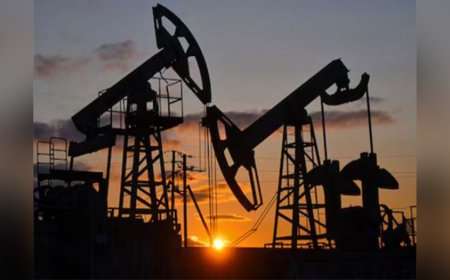 Nitin Sandesara-Owned SEEPCO Supplies 6 Million Barrels of Nigerian Crude to India's State Refiners