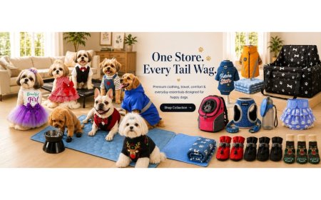 KutKut Pet Care and Accessories Pvt. Ltd. Strengthens Its Position as India's Growing One-Stop Destination for Pet Fashion, Accessories and Everyday Care