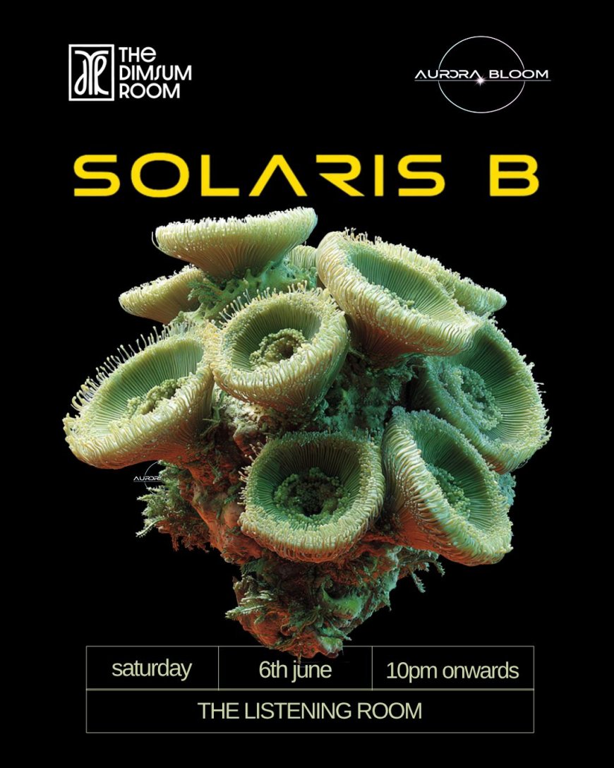From Radio Waves to Real-World Experiences: Solaris B Launches a New Era of Immersive Progressive House Culture with Aurora Bloom.