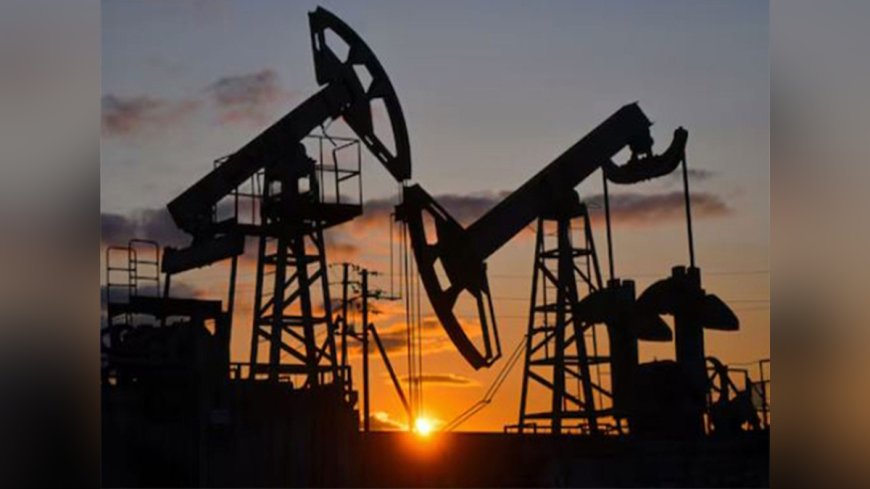 Nitin Sandesara-Owned SEEPCO Supplies 6 Million Barrels of Nigerian Crude to India's State Refiners