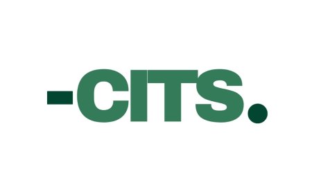 CITS Ltd: Building Scalable Solutions in a Rapidly Evolving Digital Economy