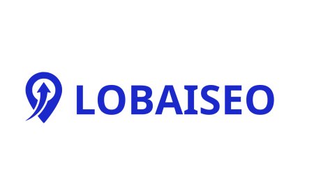 The Startup Putting Google Business Profiles on Autopilot - Lobaiseo by Raja Gupta
