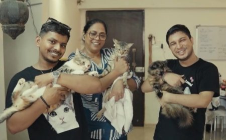 Sawan Koull Fulfills Year-Old Promise, Distributes 100 Kg of Cat Food to Honour Rescue Cat Laxmi's Recovery