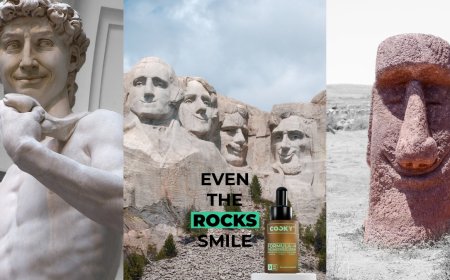 From #MakeShowersGreatAgain to #EvenTheRocksSmile: How Cocky Is Making Men's Grooming Fun Again