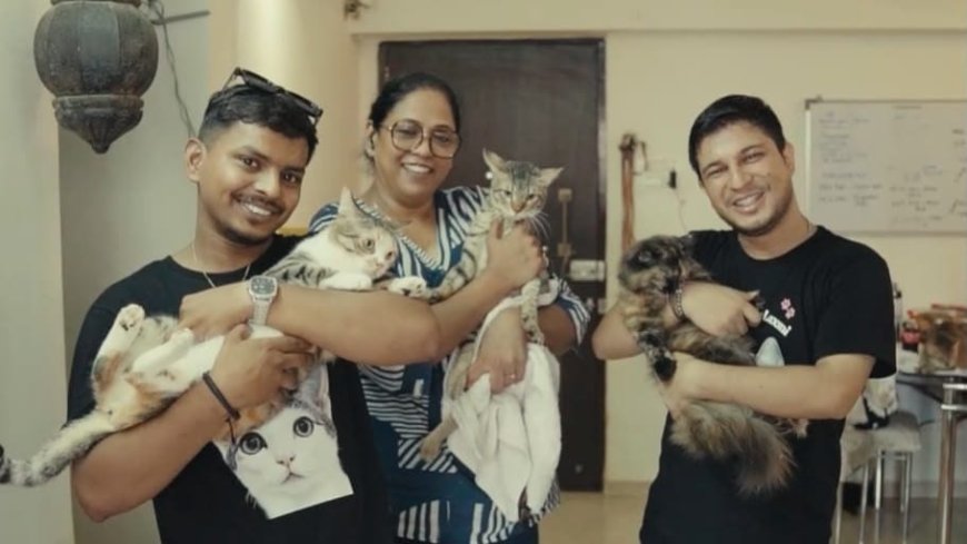 Sawan Koull Fulfills Year-Old Promise, Distributes 100 Kg of Cat Food to Honour Rescue Cat Laxmi's Recovery