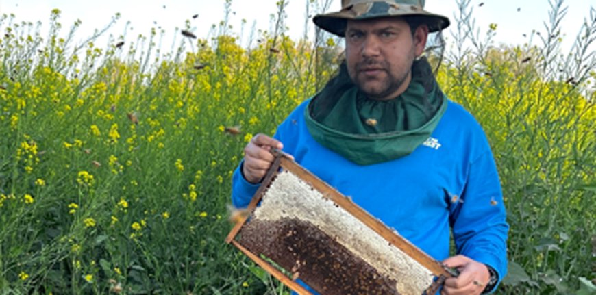 From Vision to Trust: How HUNIWA Founder Naim Ahmed Is Building a Transparent Raw Honey Brand