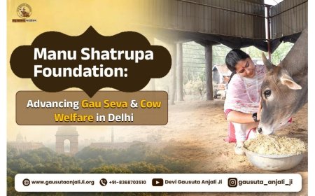 Manu Shatarupa Foundation: Engaged in gau seva, cow rescue, and animal welfare in Delhi