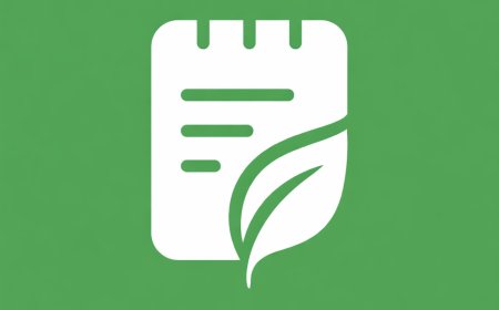 Leafpad: How Sameeh Ahmed Is Building an SEO Automation Platform Designed to Keep Websites Search-Ready