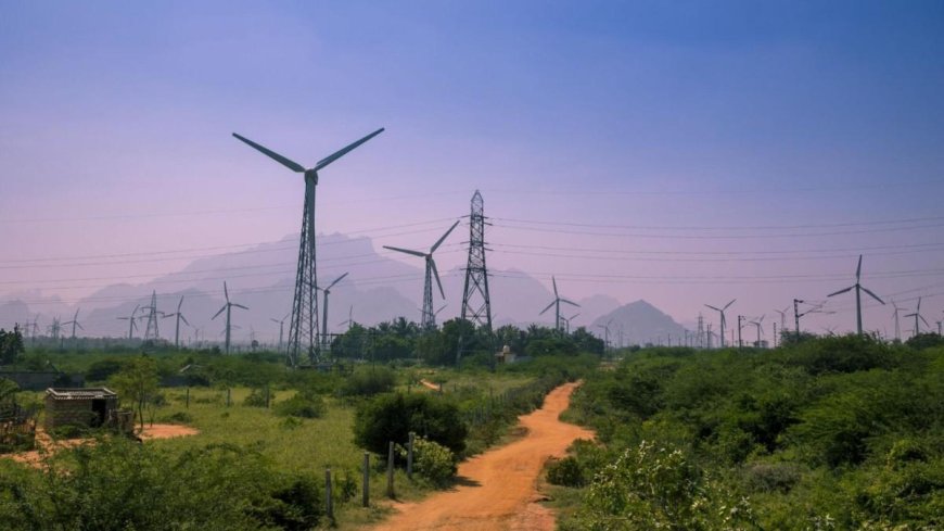‘Zero-Tolerance Policy’ for the Green Energy Sector at Dharashiv Needs Stronger Enforcement