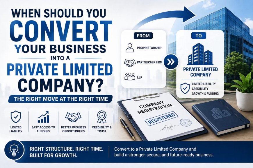 When Should You Convert Your Business into a Private Limited Company?