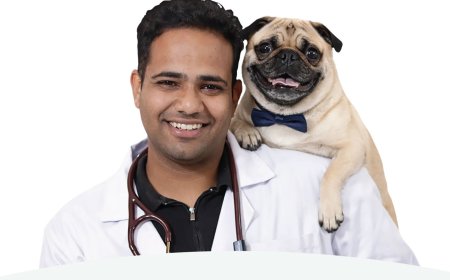 The Hidden Price of Cheap Kibble: Veterinarian Dr. Anshul Rawal on What Bargain Pet Food Is Doing to India's Dogs and Cats