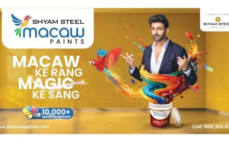 Macaw Paints Turns Kartik Aaryan into ‘The Macaw Genie’, Granting Home Makeover Wishes in Its Biggest Upcoming Festive Campaign