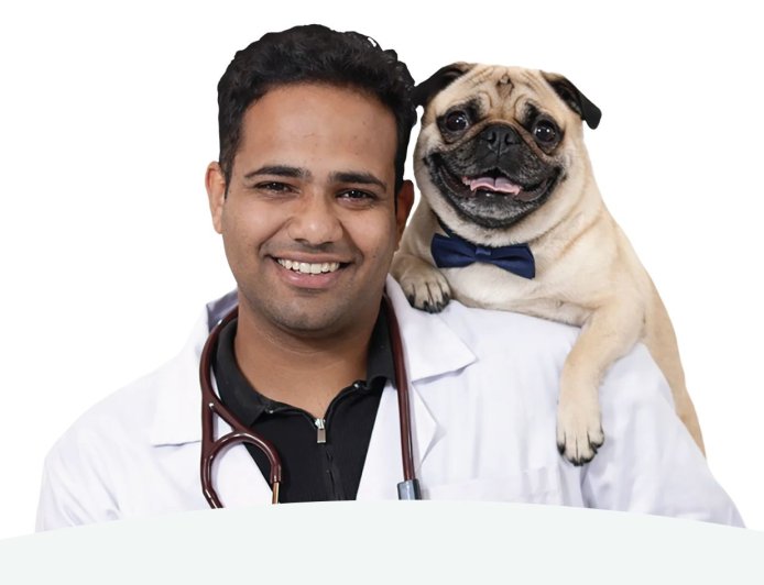 The Hidden Price of Cheap Kibble: Veterinarian Dr. Anshul Rawal on What Bargain Pet Food Is Doing to India's Dogs and Cats