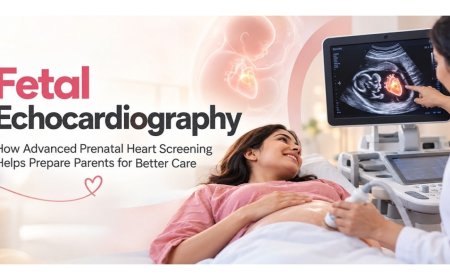 Fetal Echocardiography: How Advanced Prenatal Heart Screening Helps Prepare Parents for Better Care