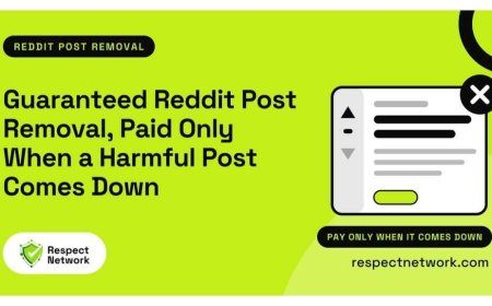 Guaranteed Reddit Post Removal: Pay Only Upon Removal